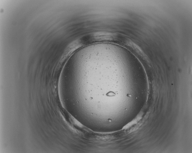 X0000064751225200602171724