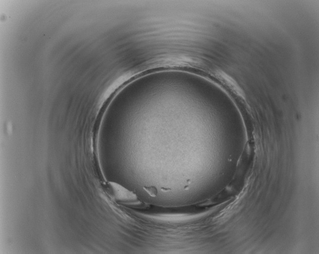 X0000064751226200602171724