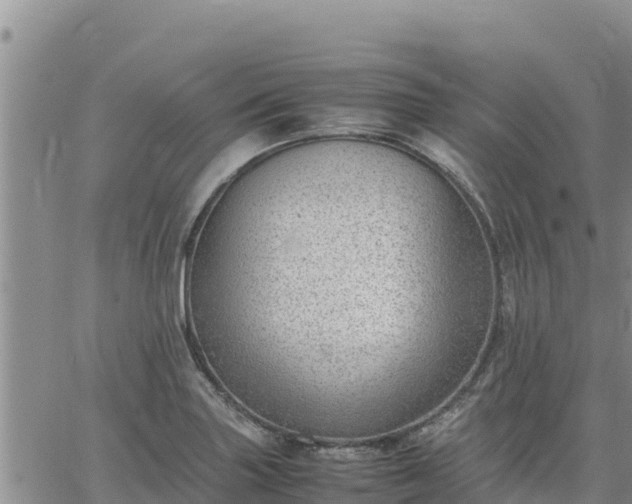 X0000064751227200602171724