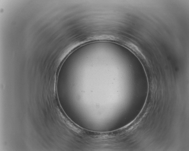 X0000064751228200602171724