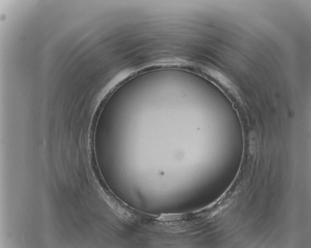 X0000064751229200602171724