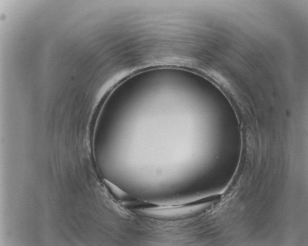 X0000064751230200602171724