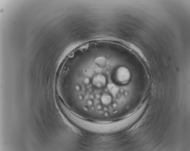 X0000064751231200602171724