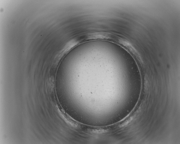 X0000064751233200602171724