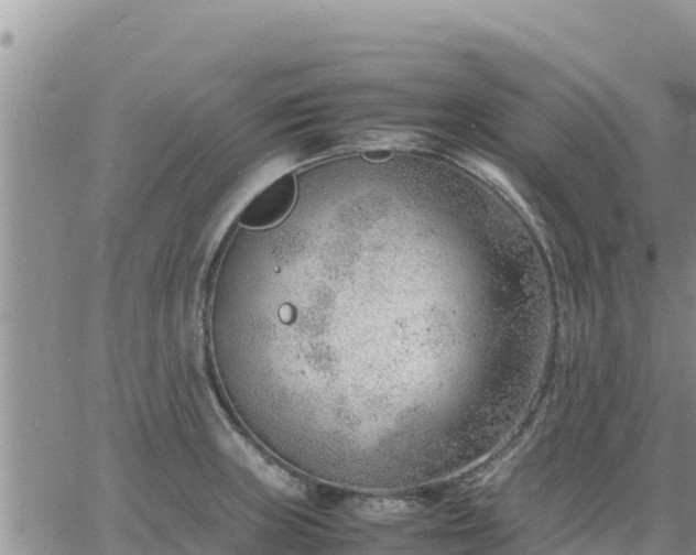 X0000064751235200602171725