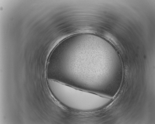 X0000064751236200602171725