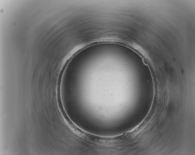 X0000064751237200602171725