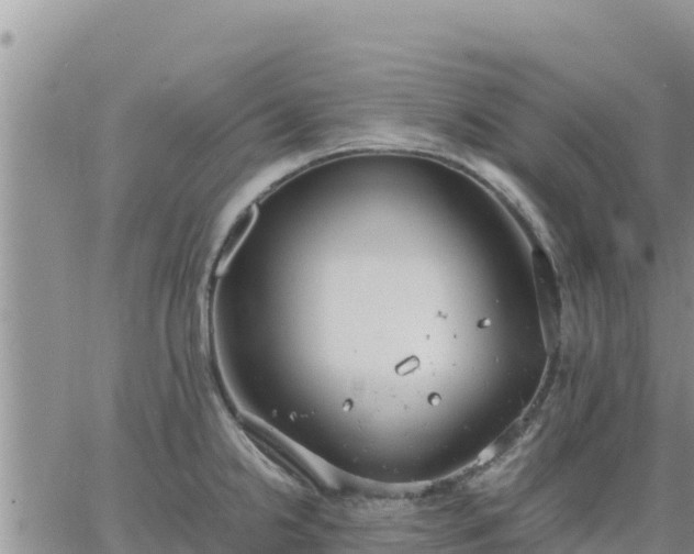 X0000064751238200602171725