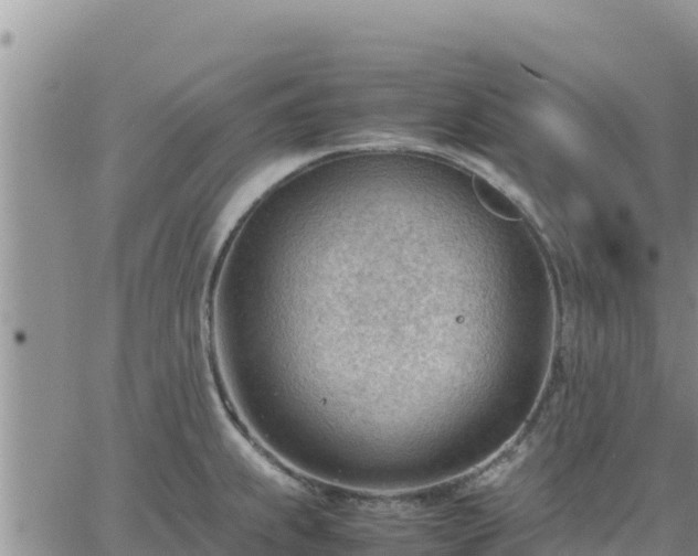 X0000064751239200602171725