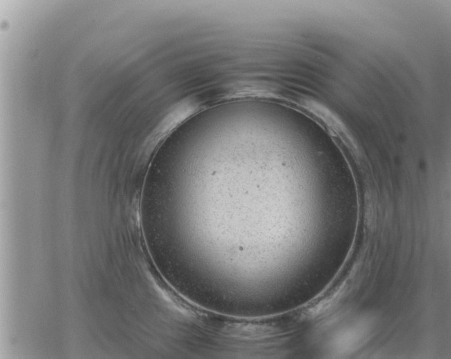 X0000064751241200602171725