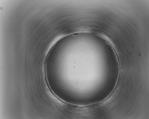 X0000064751243200602171725