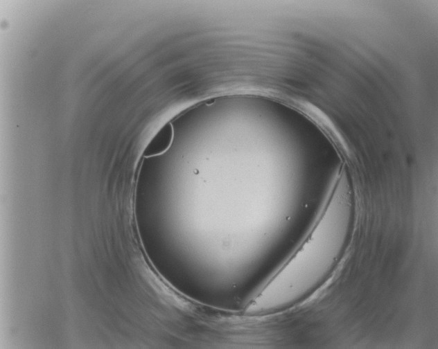 X0000064751244200602171725