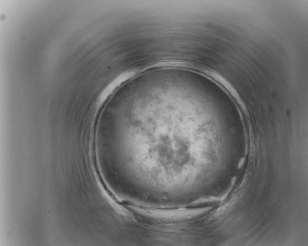 X0000064751245200602171725