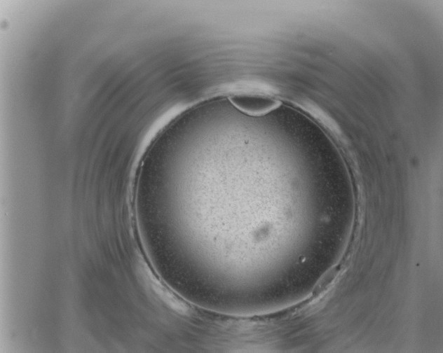 X0000064751248200602171725