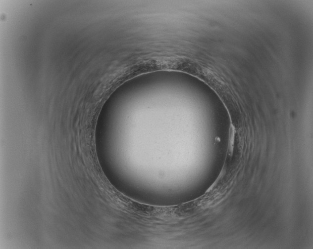 X0000064751249200602171724