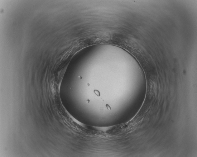 X0000064751250200602171724