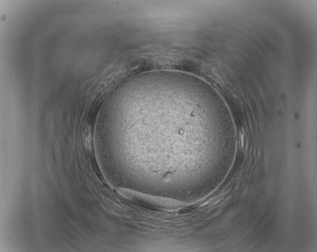 X0000064751251200602171724