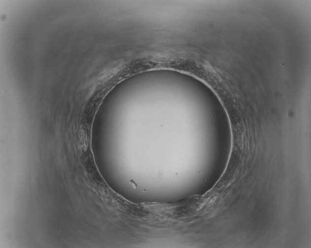 X0000064751253200602171724