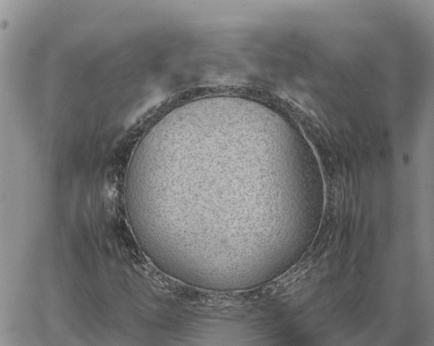 X0000064751254200602171724