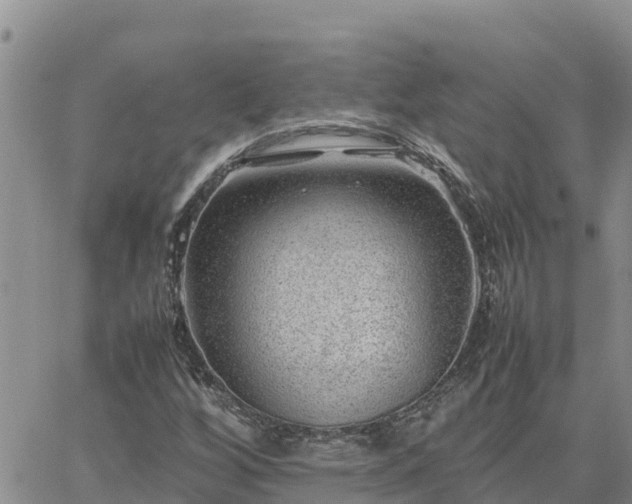 X0000064751256200602171724