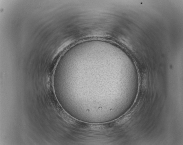 X0000064751258200602171724