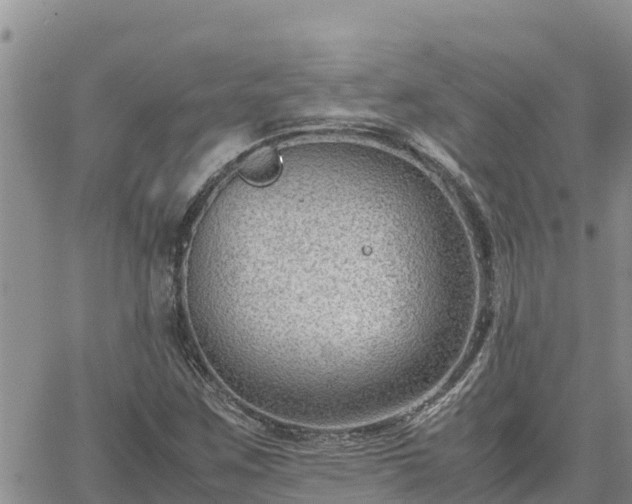 X0000064751259200602171724