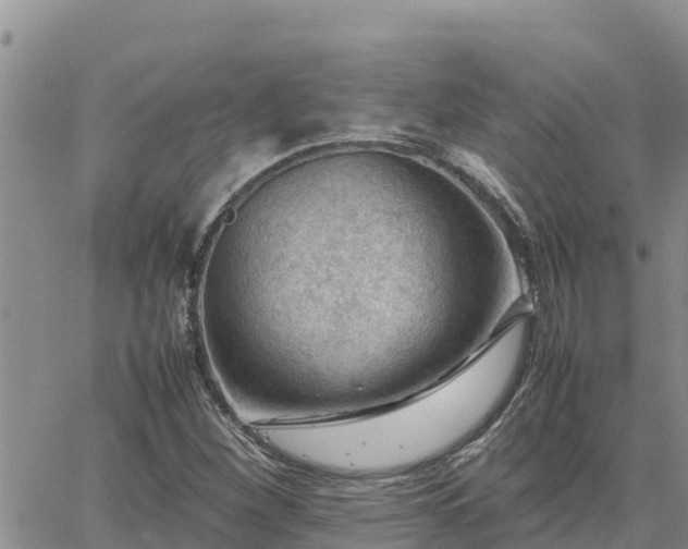 X0000064751260200602171724