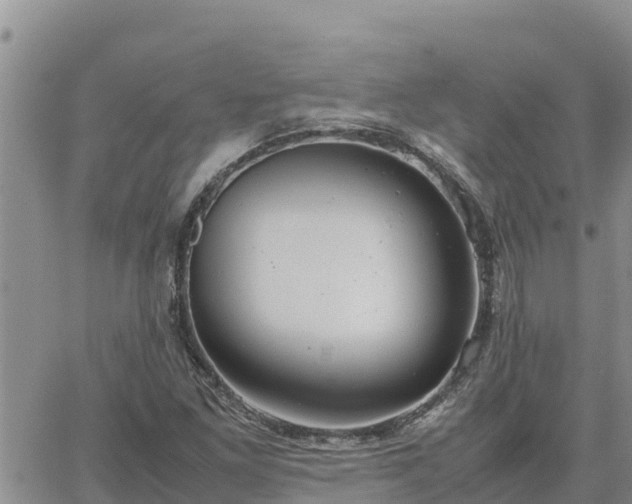 X0000064751261200602171724