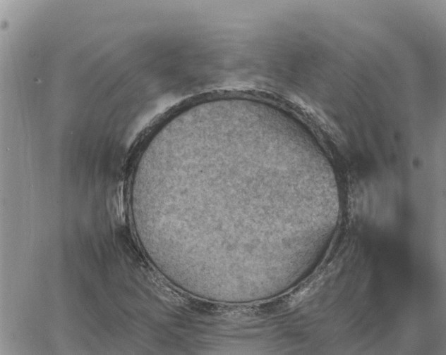 X0000064751262200602171724