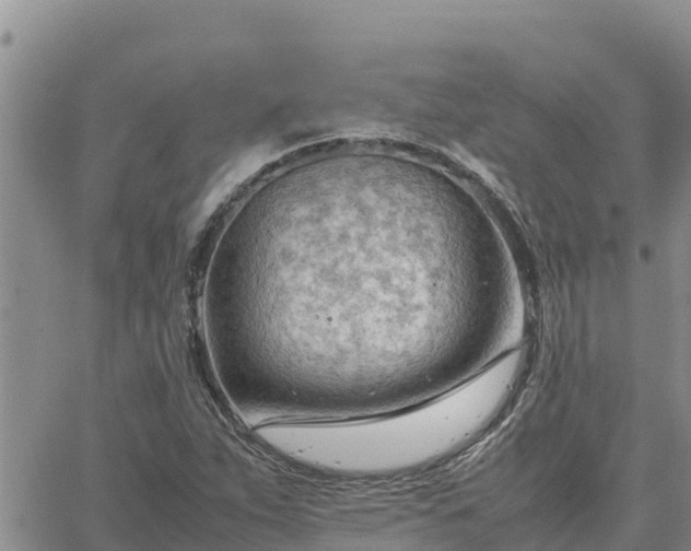 X0000064751263200602171724