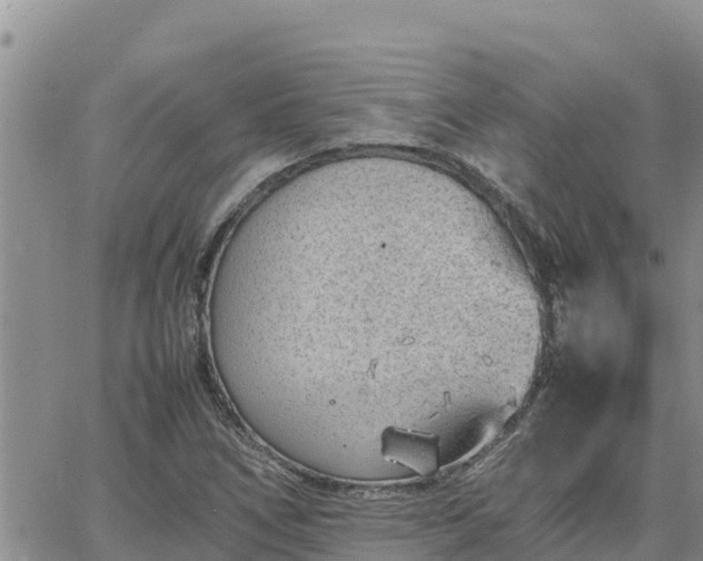 X0000064751266200602171724