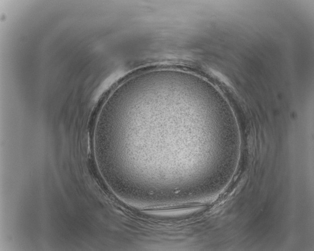 X0000064751267200602171724