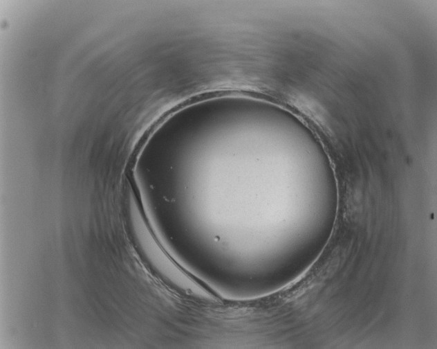 X0000064751268200602171724