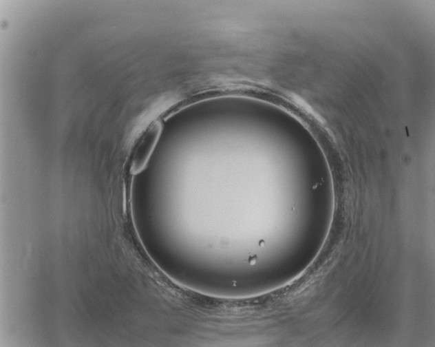 X0000064751269200602171724