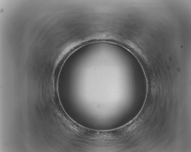 X0000064751270200602171724