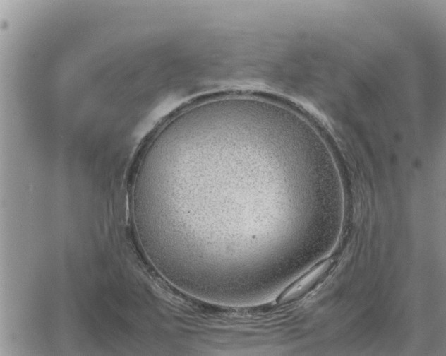 X0000064751271200602171724