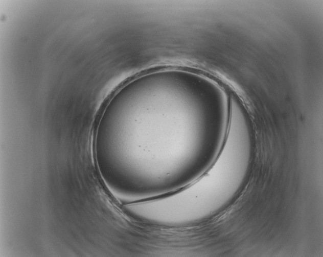 X0000064751272200602171724