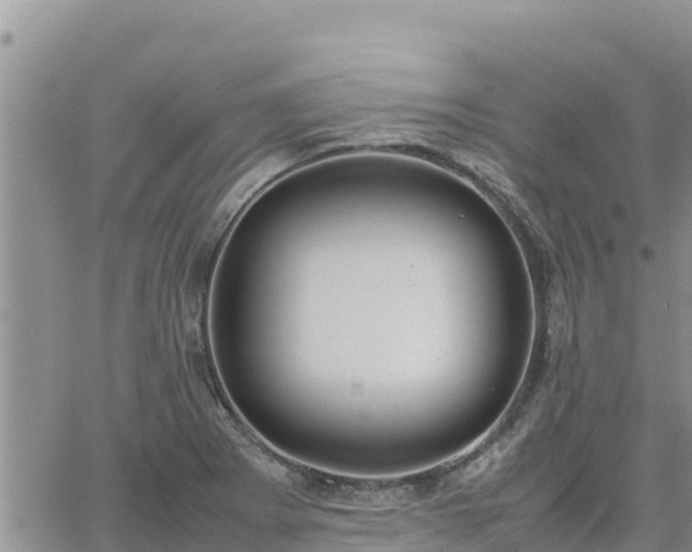 X0000064751273200602171724