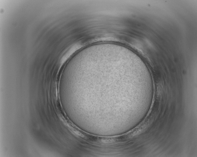 X0000064751274200602171724