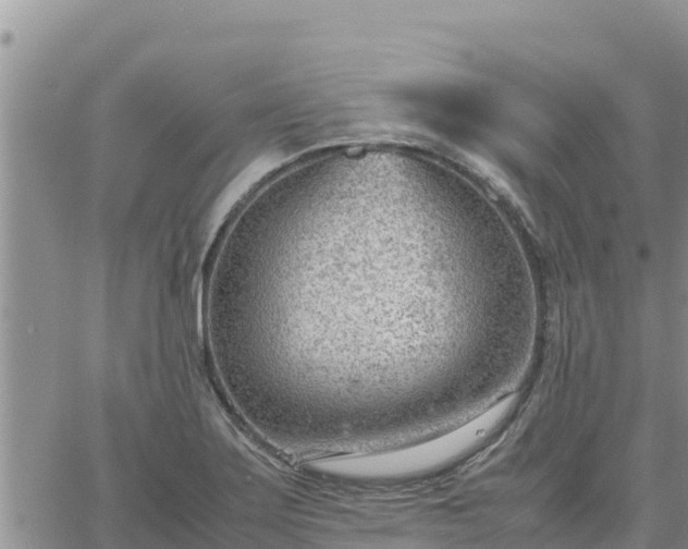 X0000064751275200602171724