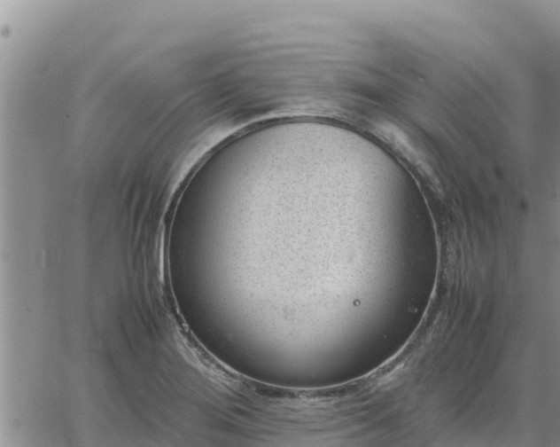 X0000064751276200602171724