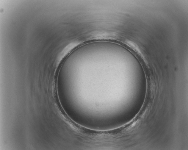 X0000064751277200602171723