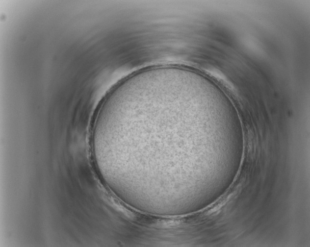 X0000064751278200602171723