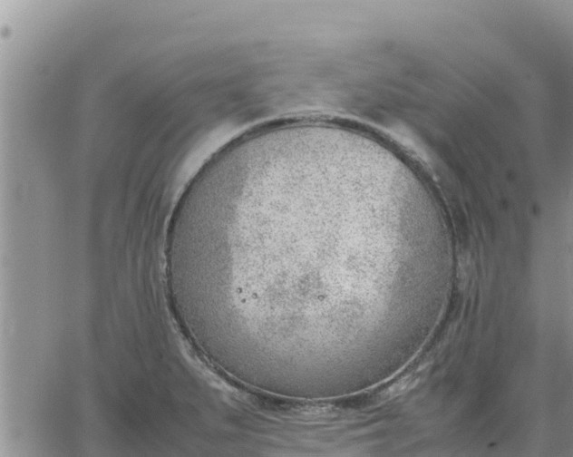 X0000064751279200602171723