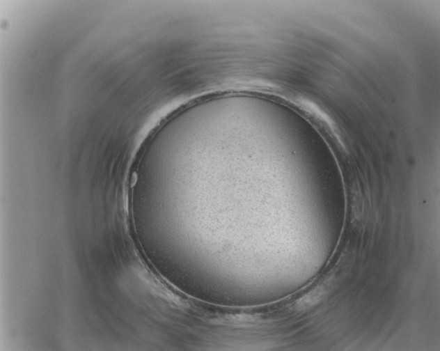 X0000064751280200602171723