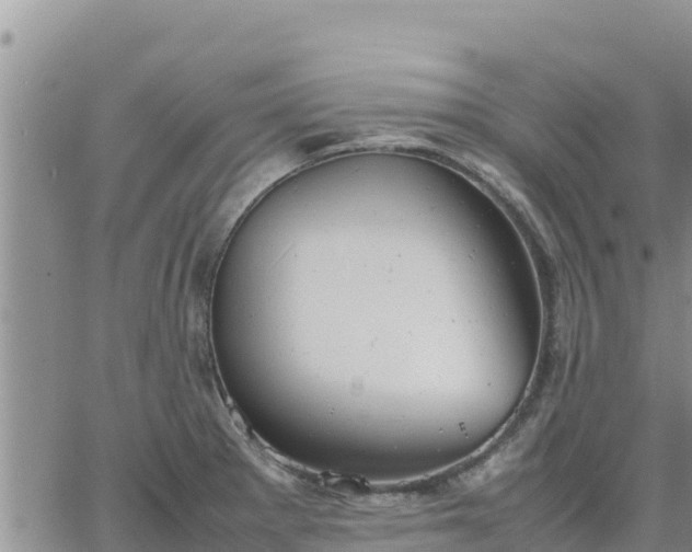 X0000064751281200602171723