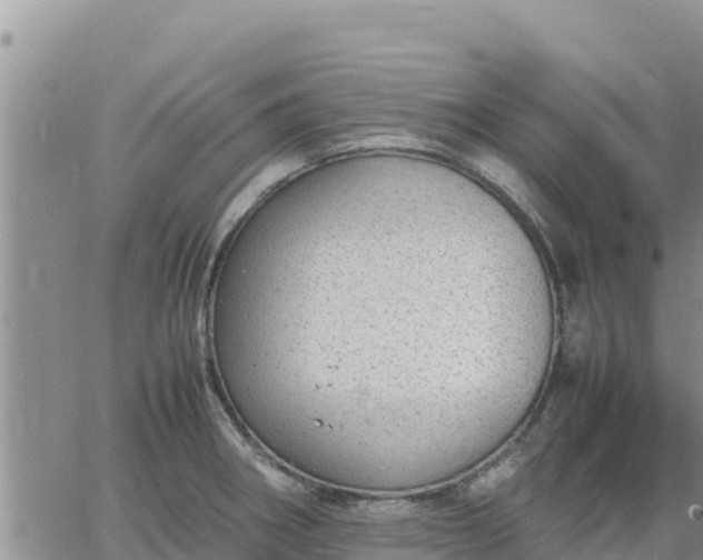 X0000064751282200602171723