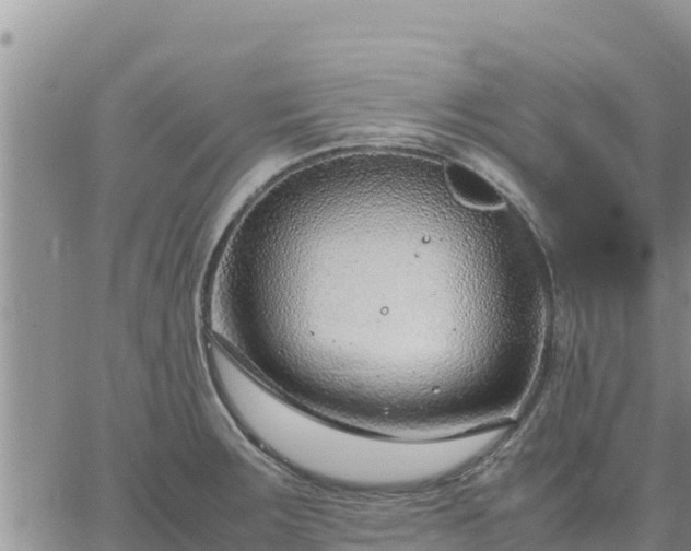 X0000064751283200602171723