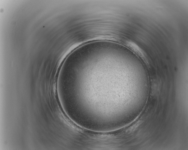 X0000064751284200602171723