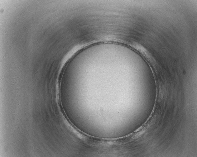 X0000064751286200602171723